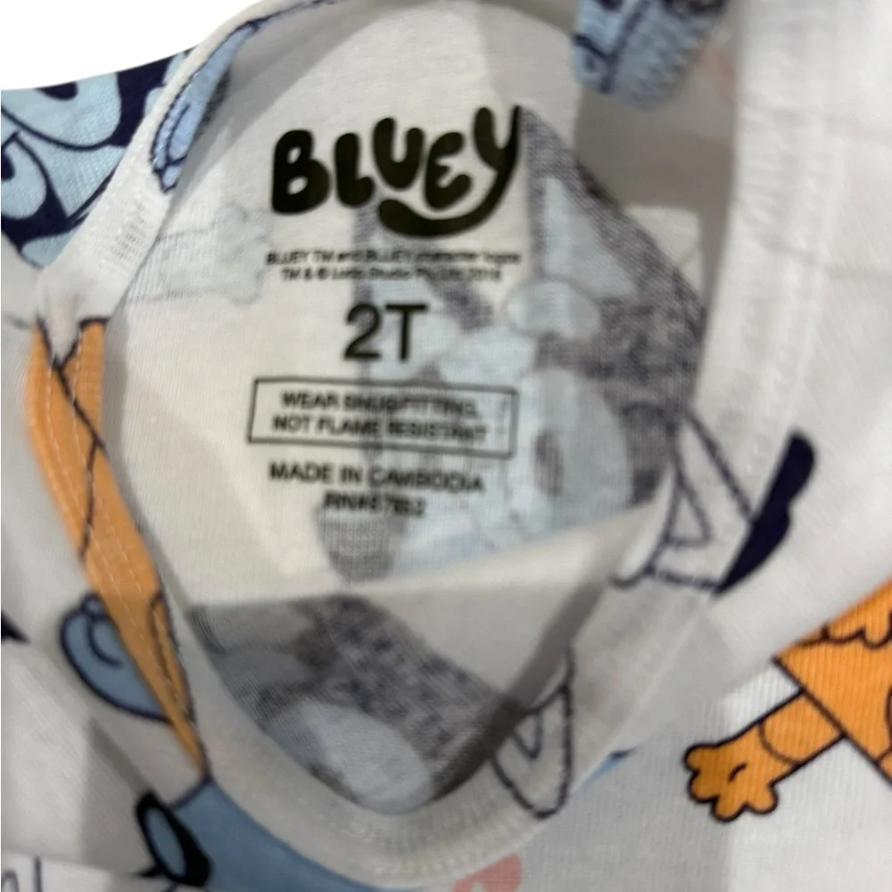 Bluey Pajamas top and bottoms nwt size 2T